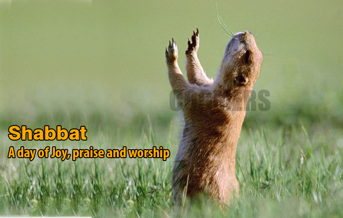 Shabbat - a Taste of Selflessness